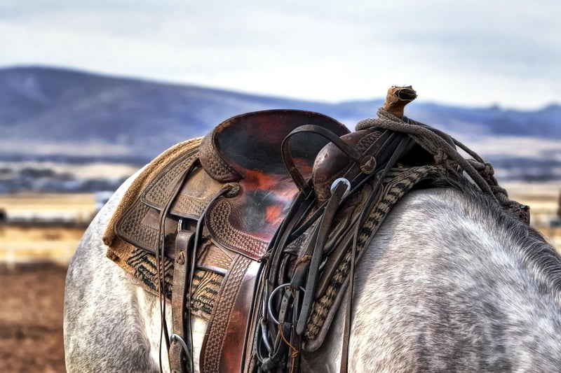 Cowboy riding horse in the Wild West